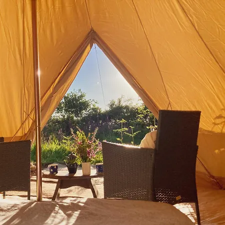 Foxglove Field Glamping Perranuthnoe