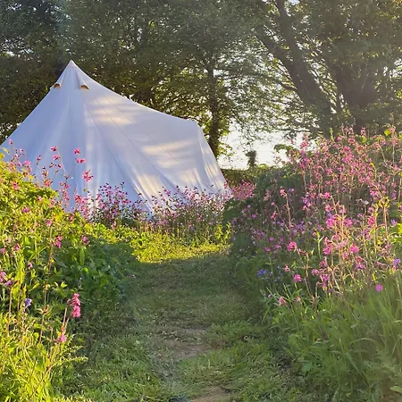 אוהל מפואר Foxglove Field Glamping *